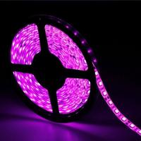 Pink /purple Color 5050 5M 300 Leds SMD Flexible LED Strip Light 12V 60leds/M Party Christmas Light